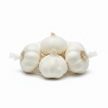 GARLIC WHITE SLEEVE