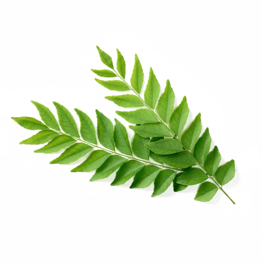 CURRY LEAVES