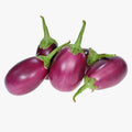 EGGPLANT INDIAN ~1LB