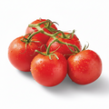 TOMATOES ON THE VINE ~1LB