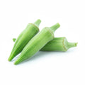 OKRA INDIAN
