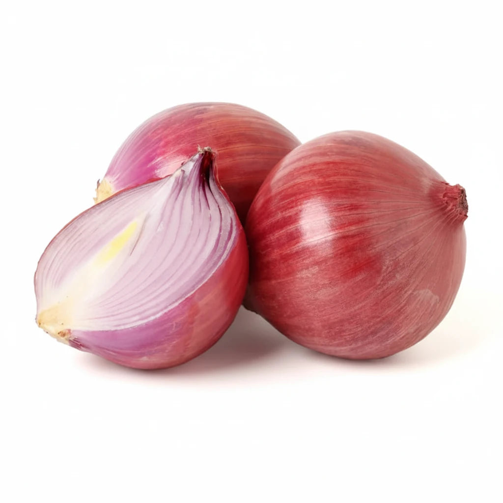 RED ONION MEDIUM