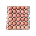 Organic Farm-Raised Large Brown Eggs - 30 Egg Tray