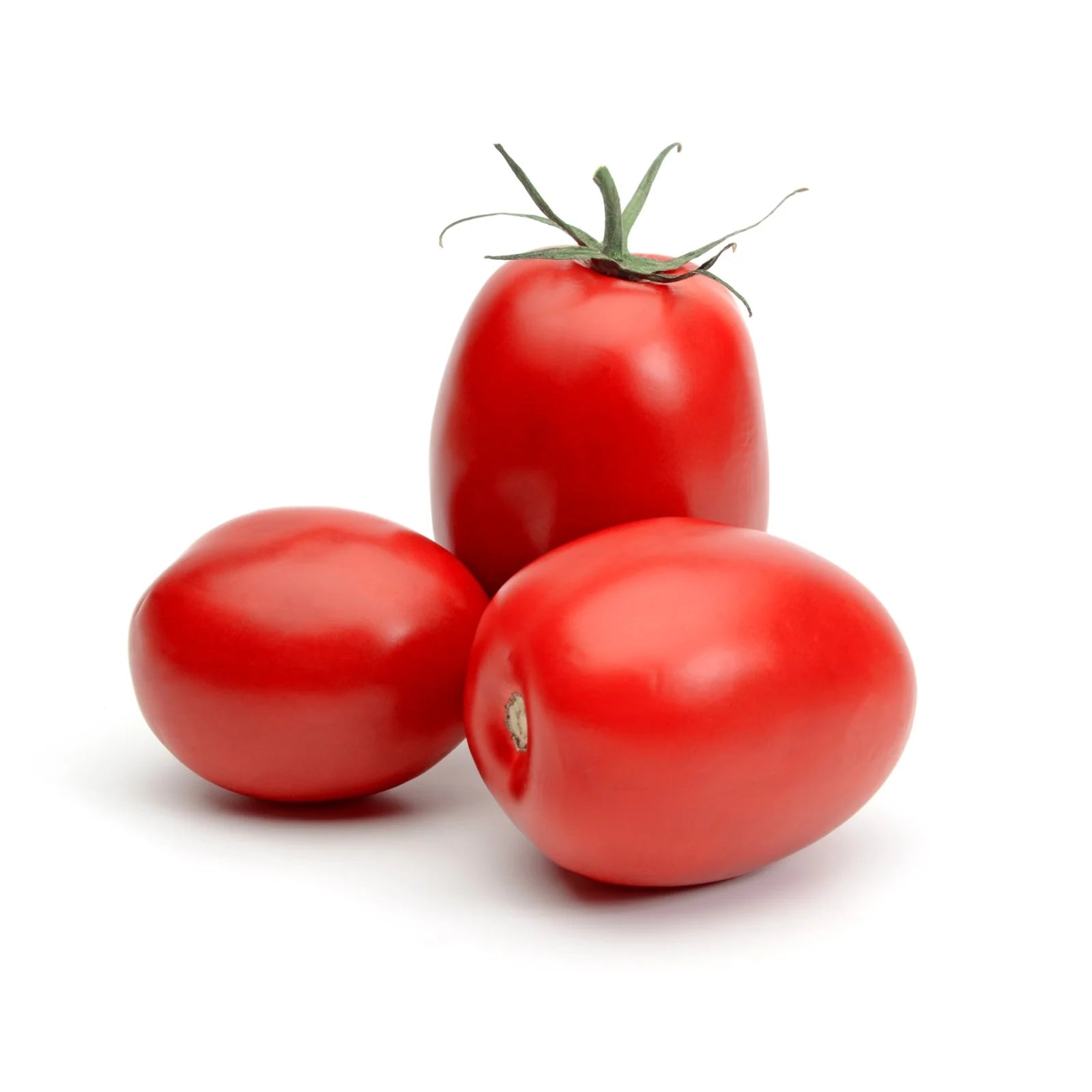 TOMATO ROMA ~1LB